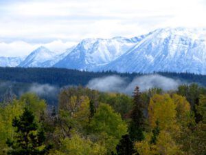 1 fresh snow (From Summer to Winter)