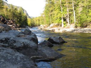 1. Atnarko river upstream (Swimming with Grizzlies in the Atnarko River)