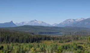 1. still very hot (Abrupt Change to Fall)