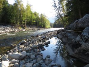 2. Atnarko river downstream (Swimming with Grizzlies in the Atnarko River)