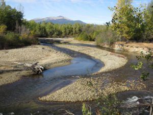 5 river (From Summer to Winter)