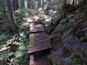 5. trail to p[etroglyphs (Bella Coola Petroglyphs)