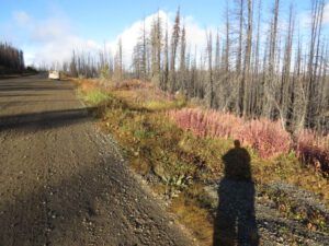 7. Top of the Hill (From Summer to Winter)