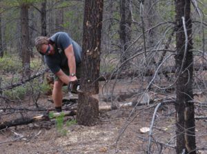 7. back cut (Craig Sisterson)