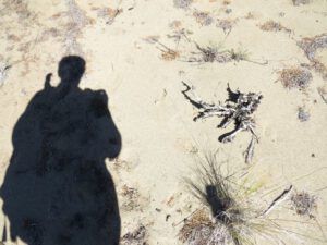 8. me and monster (Dunewalk)