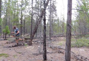 8. run away (Craig Sisterson)