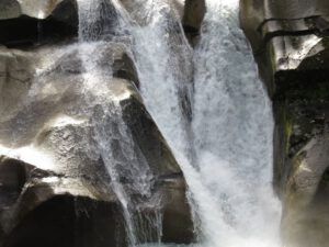 IMG_3976 (Clayton Falls, Bella Coola)