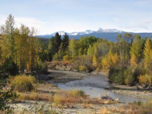 1.river (All the Fall We’re Going to Get)