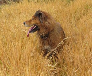 11. harry (All the Fall We’re Going to Get)