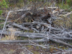 12. debris (All the Fall We’re Going to Get)