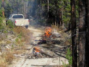 13. burning (All the Fall We’re Going to Get)