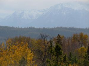 17.  Wind (All the Fall We’re Going to Get)