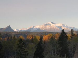 3.morning sun (All the Fall We’re Going to Get)