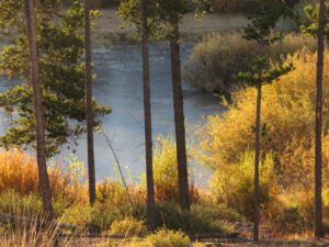 4. frozen pond (Alone for a While)