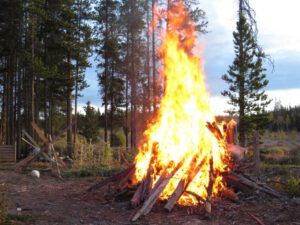 6. warming kale (Alone for a While)