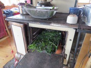 7. kale in oven (Alone for a While)