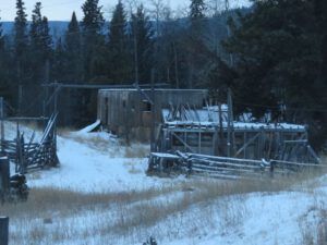 1 morning of 24 Nov (Packrat Palace Part Two)