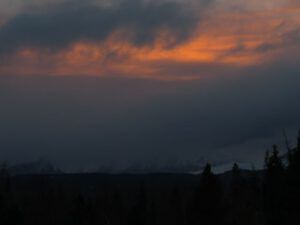 1. gloom (November Weather at Ginty Creek)