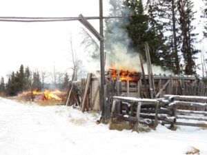 11. starting barn fire (Packrat Palace Part Two)