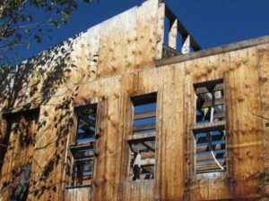 11a (Packrat Palace Part One)
