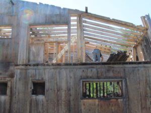 12. Camille (Packrat Palace Part One)