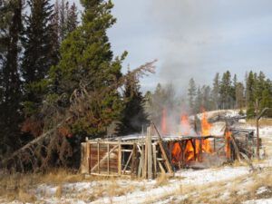 12. barn and tree (Packrat Palace Part Two)
