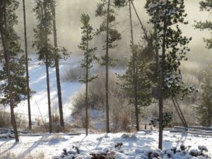 13. Fog over pond (November Weather at Ginty Creek)