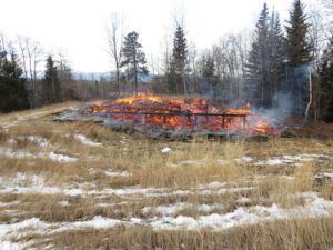 14. 2 hours after (Packrat Palace Part Two)