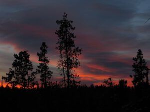 14. sunrise (November Weather at Ginty Creek)