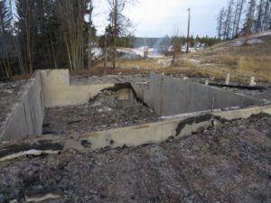 17. PP this am (Packrat Palace Part Two)