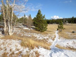 2 trail (A Little Snow)