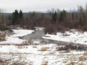 2. river (November Weather at Ginty Creek)