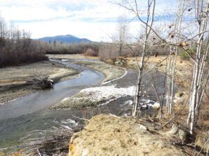 4 ice on river (Eve Gordon)