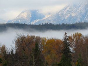 5 fog lifting (Rain)