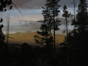 5 ochre light (Eve Gordon)