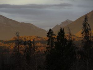 6 ochre light 2 (Eve Gordon)