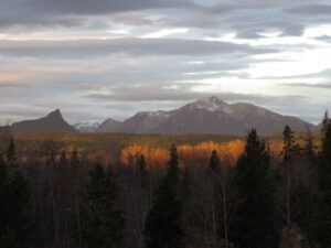 7 ochre light 3 (Eve Gordon)