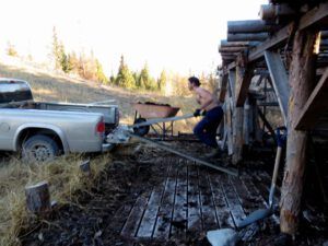 7. manure (Packrat Palace Part One)