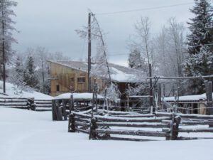 8a winter (Packrat Palace Part One)