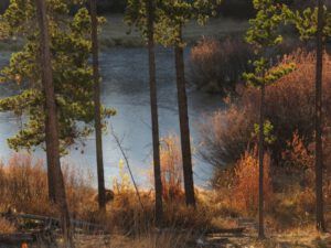 9 ice on pond (Frost)