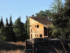 9. Britta on PP roof (Packrat Palace Part One)