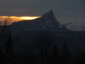 1. gloom (Christmas Shopping)