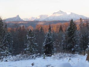 12. This morning. (Christmas Shopping)