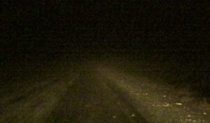 2. night driving (Christmas Shopping)