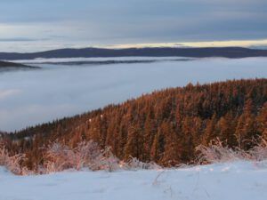 5. sunrise 2 (Christmas Shopping)