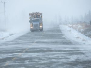 9. blowing snow (Christmas Shopping)