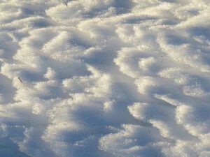 1 thawing snow (Springtime in January)