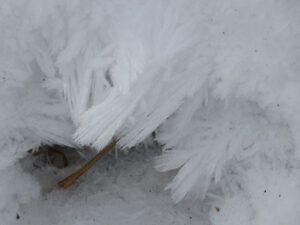 10 ice inc reek (Springtime in January)