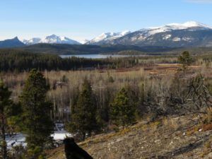 11 across highway (First Post of the Year – and it’s Still Thawing.)