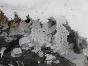 11 ice in creek (Springtime in January)